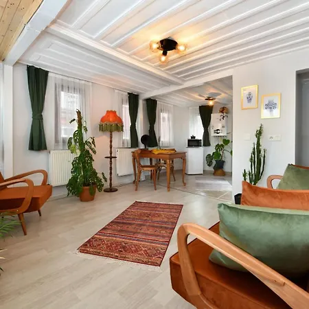 Historical-relaxing Flat - Heart Of Taksim Κωνσταντινούπολη