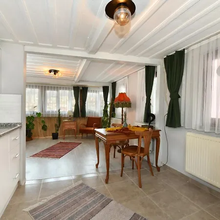 Διαμέρισμα Historical-relaxing Flat - Heart Of Taksim Κωνσταντινούπολη