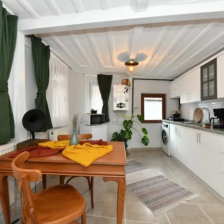 Апартаменты Historical-relaxing Flat - Heart Of Taksim Стамбул